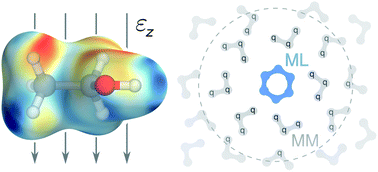 Graphical abstract: Machine learning of solvent effects on molecular spectra and reactions