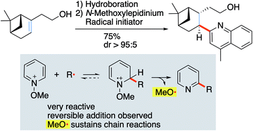 Graphical abstract: Radical chain monoalkylation of pyridines