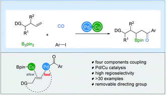 Graphical abstract: Pd/Cu-Catalyzed amide-enabled selectivity-reversed borocarbonylation of unactivated alkenes
