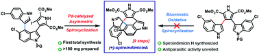 Graphical abstract: Total synthesis of (+)-spiroindimicin A and congeners unveils their antiparasitic activity