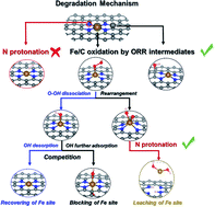 Graphical abstract: Theoretically probing the possible degradation mechanisms of an FeNC catalyst during the oxygen reduction reaction