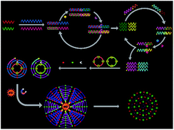 Graphical abstract: Multicolor fluorescence encoding of different microRNAs in lung cancer tissues at the single-molecule level