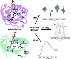 Graphical abstract: From crystallographic data to the solution structure of photoreceptors: the case of the AppA BLUF domain