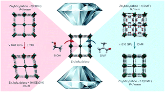 Graphical abstract: Guest-mediated phase transitions in a flexible pillared-layered metal–organic framework under high-pressure