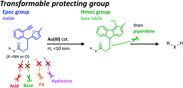 Graphical abstract: Epoc group: transformable protecting group with gold(iii)-catalyzed fluorene formation
