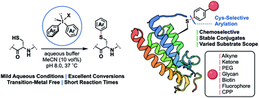 Graphical abstract: Late-stage modification of peptides and proteins at cysteine with diaryliodonium salts