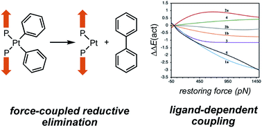 Graphical abstract: Force-modulated reductive elimination from platinum(ii) diaryl complexes