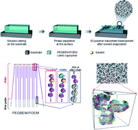 Graphical abstract: Substrate-independent three-dimensional polymer nanosheets induced by solution casting