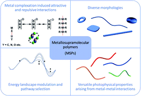 Graphical abstract: Recent progress and future challenges in the supramolecular polymerization of metal-containing monomers