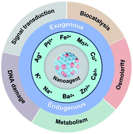 Graphical abstract: Cancer therapeutic strategies based on metal ions
