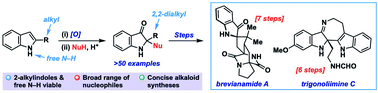 Graphical abstract: A general approach to 2,2-disubstituted indoxyls: total synthesis of brevianamide A and trigonoliimine C