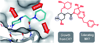 Graphical abstract: C–H functionalisation tolerant to polar groups could transform fragment-based drug discovery (FBDD)