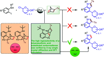 Graphical abstract: Palladium-catalyzed C–H glycosylation and retro Diels–Alder tandem reaction via structurally modified norbornadienes (smNBDs)