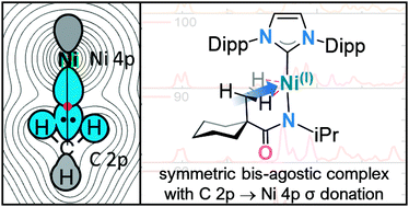 Graphical abstract: Direct metal–carbon bonding in symmetric bis(C–H) agostic nickel(i) complexes
