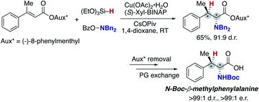 Graphical abstract: An umpolung-enabled copper-catalysed regioselective hydroamination approach to α-amino acids