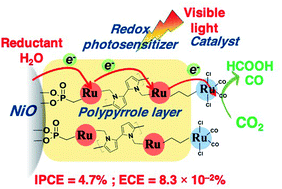Graphical abstract: Supramolecular photocatalysts fixed on the inside of the polypyrrole layer in dye sensitized molecular photocathodes: application to photocatalytic CO2 reduction coupled with water oxidation