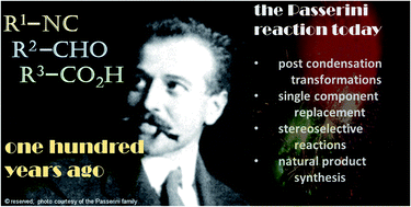 Graphical abstract: The 100 facets of the Passerini reaction