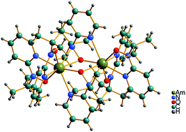 Graphical abstract: Complexation and redox chemistry of neptunium, plutonium and americium with a hydroxylaminato ligand