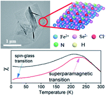 Graphical abstract: Free-standing 2D non-van der Waals antiferromagnetic hexagonal FeSe semiconductor: halide-assisted chemical synthesis and Fe2+ related magnetic transitions