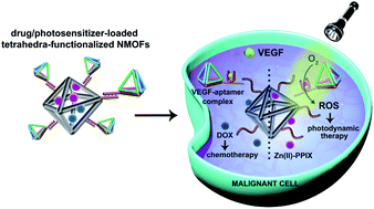 Graphical abstract: Aptamer-modified DNA tetrahedra-gated metal–organic framework nanoparticle carriers for enhanced chemotherapy or photodynamic therapy