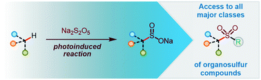 Graphical abstract: Photoinduced C(sp3)–H sulfination empowers the direct and chemoselective introduction of the sulfonyl group