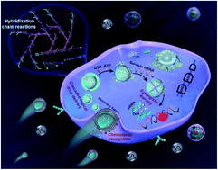 Graphical abstract: SiRNA-templated 3D framework nucleic acids for chemotactic recognition, and programmable and visualized precise delivery for synergistic cancer therapy