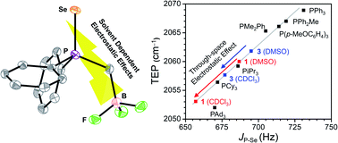 Graphical abstract: Electrostatic vs. inductive effects in phosphine ligand donor properties and reactivity