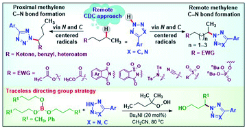 Graphical abstract: Intermolecular CDC amination of remote and proximal unactivated Csp3–H bonds through intrinsic substrate reactivity – expanding towards a traceless directing group