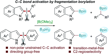 Graphical abstract: Carbon–carbon bond activation by B(OMe)3/B2pin2-mediated fragmentation borylation