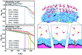 Graphical abstract: Universal dynamical onset in water at distinct material interfaces