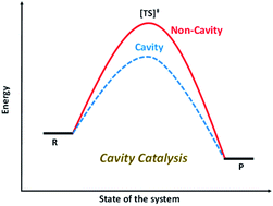 Graphical abstract: Cavity catalysis: modifying linear free-energy relationship under cooperative vibrational strong coupling