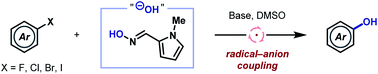 Graphical abstract: Radical–anion coupling through reagent design: hydroxylation of aryl halides