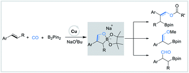 Graphical abstract: Copper-catalyzed borofunctionalization of styrenes with B2pin2 and CO