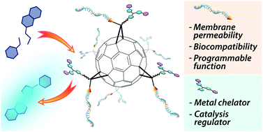 Graphical abstract: Molecularly pure miktoarm spherical nucleic acids: preparation and usage as a scaffold for abiotic intracellular catalysis