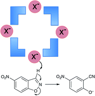 Graphical abstract: Interaction of anions with the surface of a coordination cage in aqueous solution probed by their effect on a cage-catalysed Kemp elimination