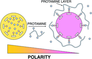 Graphical abstract: Protamine/heparin optical nanosensors based on solvatochromism