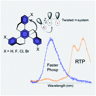 Graphical abstract: Halogenation of a twisted non-polar π-system as a tool to modulate phosphorescence at room temperature