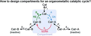 Graphical abstract: A generalized kinetic model for compartmentalization of organometallic catalysis