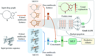 Graphical abstract: MGraphDTA: deep multiscale graph neural network for explainable drug–target binding affinity prediction