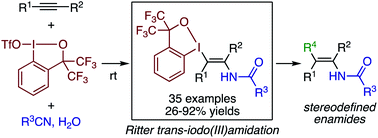Graphical abstract: Ritter-type iodo(iii)amidation of unactivated alkynes for the stereoselective synthesis of multisubstituted enamides