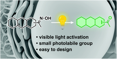 Graphical abstract: Oxime as a general photocage for the design of visible light photo-activatable fluorophores