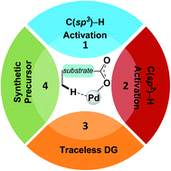 Graphical abstract: Pd-catalysed C–H functionalisation of free carboxylic acids