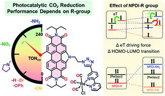 Graphical abstract: Promoting photocatalytic CO2 reduction through facile electronic modification of N-annulated perylene diimide rhenium bipyridine dyads