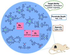 Graphical abstract: Recent advances in noble metal complex based photodynamic therapy
