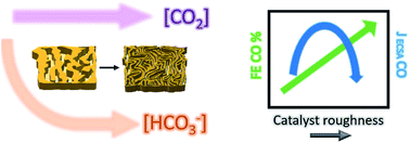 Graphical abstract: Effect of pore diameter and length on electrochemical CO2 reduction reaction at nanoporous gold catalysts