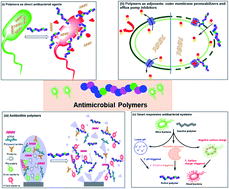 Graphical abstract: Polymers as advanced antibacterial and antibiofilm agents for direct and combination therapies
