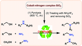 Graphical abstract: Reusable Co-nanoparticles for general and selective N-alkylation of amines and ammonia with alcohols