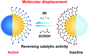 Graphical abstract: Modulating the catalytic activity of gold nanoparticles using amine-terminated ligands