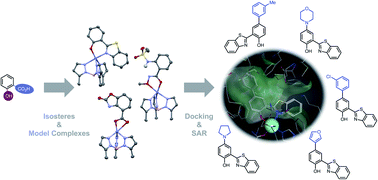 Graphical abstract: Salicylate metal-binding isosteres as fragments for metalloenzyme inhibition