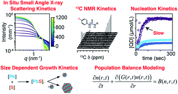 Graphical abstract: Persistent nucleation and size dependent attachment kinetics produce monodisperse PbS nanocrystals